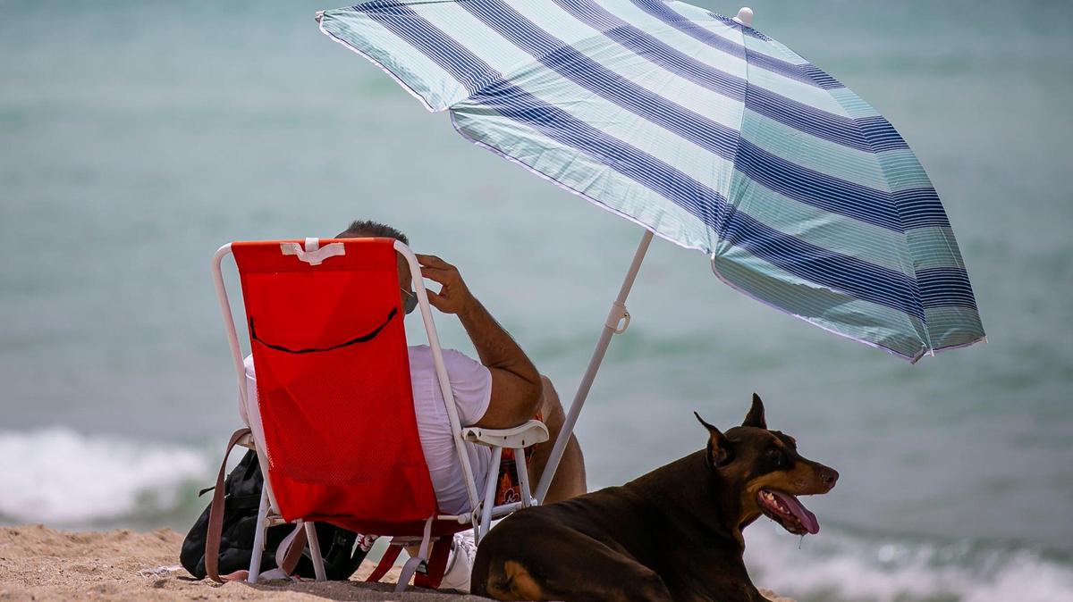 In this file photo from June 21, 2021, a man, Scott, and his dog, Tiny, visit Haulover Beach Dog Park as high heat temperatures continued across South Florida. As the week of March 29, 2022 progresses into the first week of April, temperatures could hit about 90 and humidity rises again.