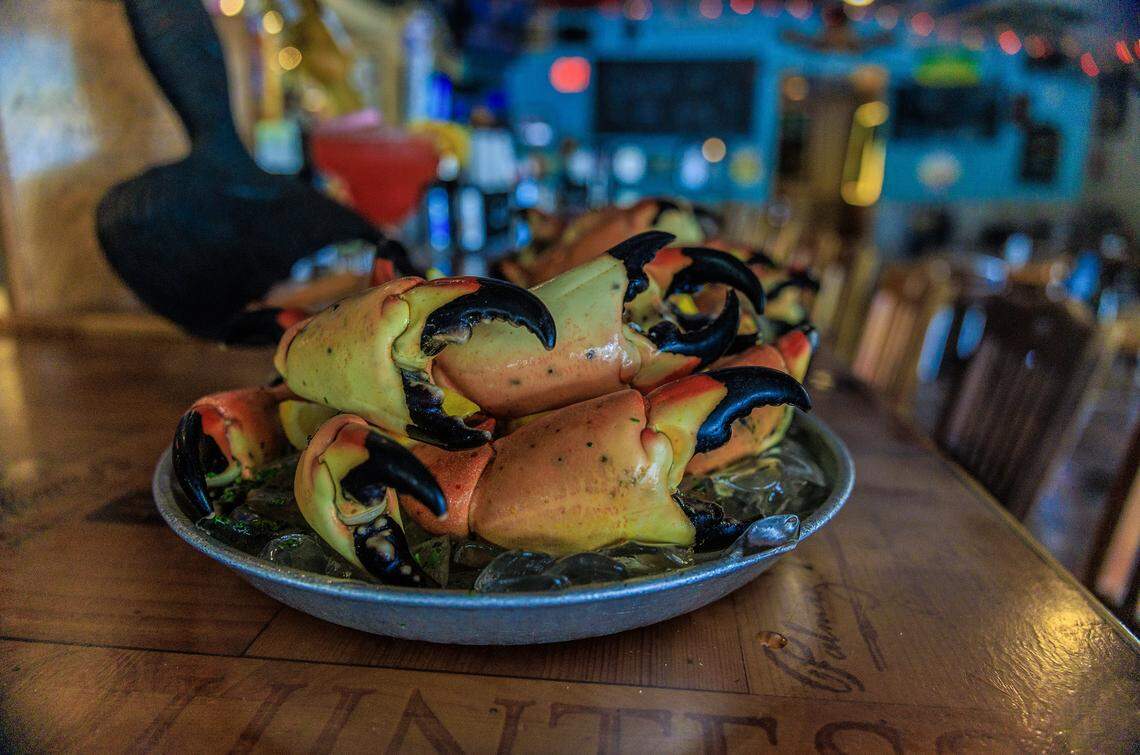 A Stone Crab tray, on display ahead of the beginning of the Stone Crab season at the iconic Catch of the Day Restaurant on Lejeune Avenue in Miami, on Tuesday October, 14 2025.