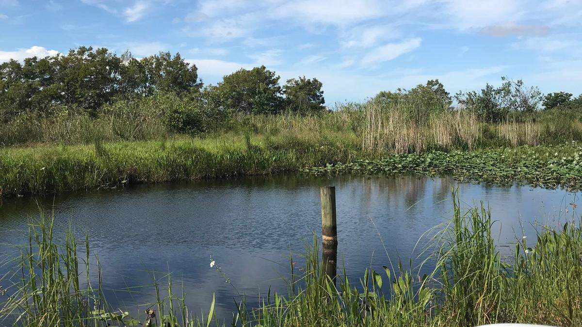 The Arthur R. Marshall Loxahatchee Wildlife Refuge. A woman was bitten by an alligator somewhere in the reserve on Sept. 5, 2019, according to Palm Beach Fire Rescue.