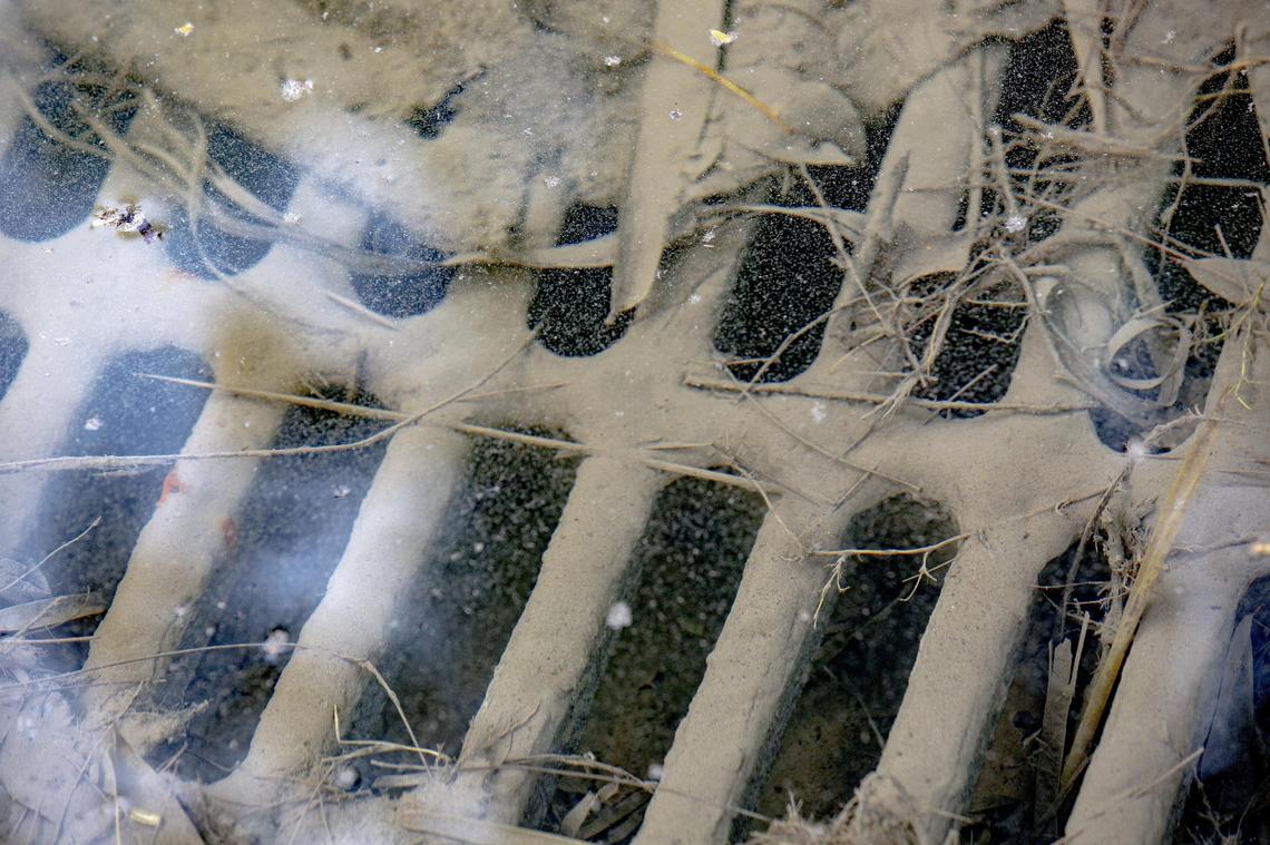 A storm drain overflows as elevated water levels from the morning’s King Tide peak surge off West Fairview street in Coconut Grove, Florida on September 29, 2019.