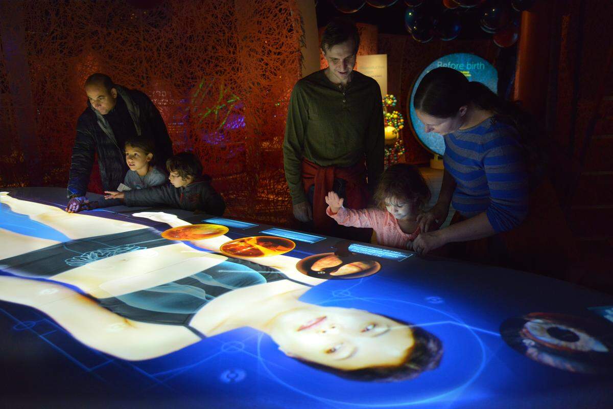“The Secret World Inside You” features a 14-foot projection of a woman’s body as part of an interactive table that highlights ways that microbes impact human health. Visitors can zoom in on 17 animated microbial scenes.