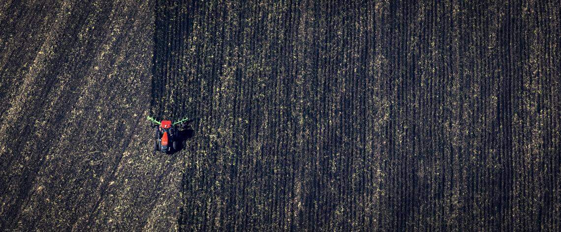 The Everglades Agricultural Area is situated south of Lake Okeechobee, where the river of grass once flowed. The region now raises vegetables, rice and sugarcane.