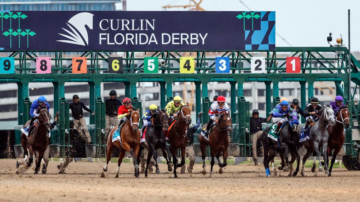 They are out of the gate for the start of the 74th Running of The Curlin Florida Derby at Gulfstream Park in Hallandale Beach, Florida, on Saturday, March 29, 2025.