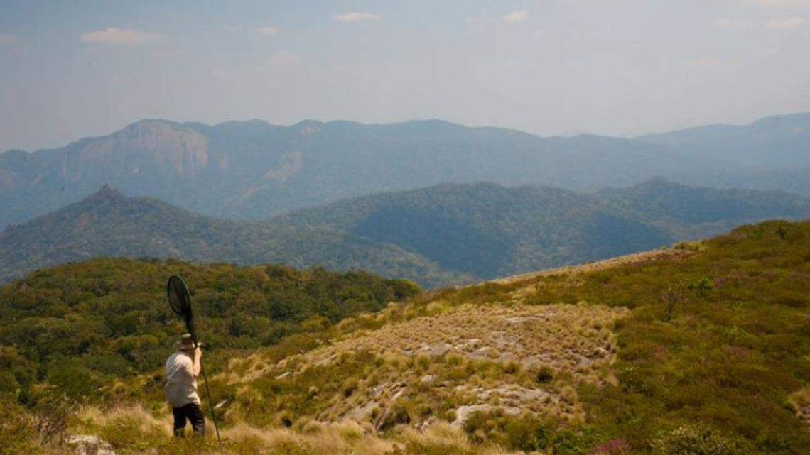 Researchers said the mountain range has isolated many species, acting as islands instead of connected peaks.