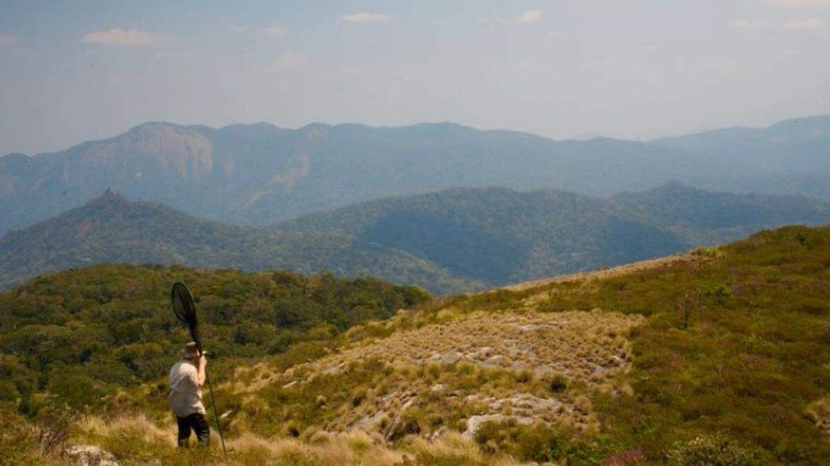 Researchers said the mountain range has isolated many species, acting as islands instead of connected peaks.