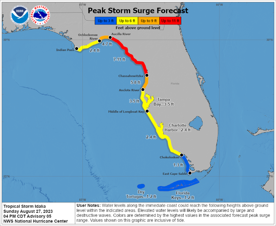 Tropical Storm Idalia could come ashore in Florida as a Category 1 hurricane, bringing up to 11 feet of storm surge in some spots.