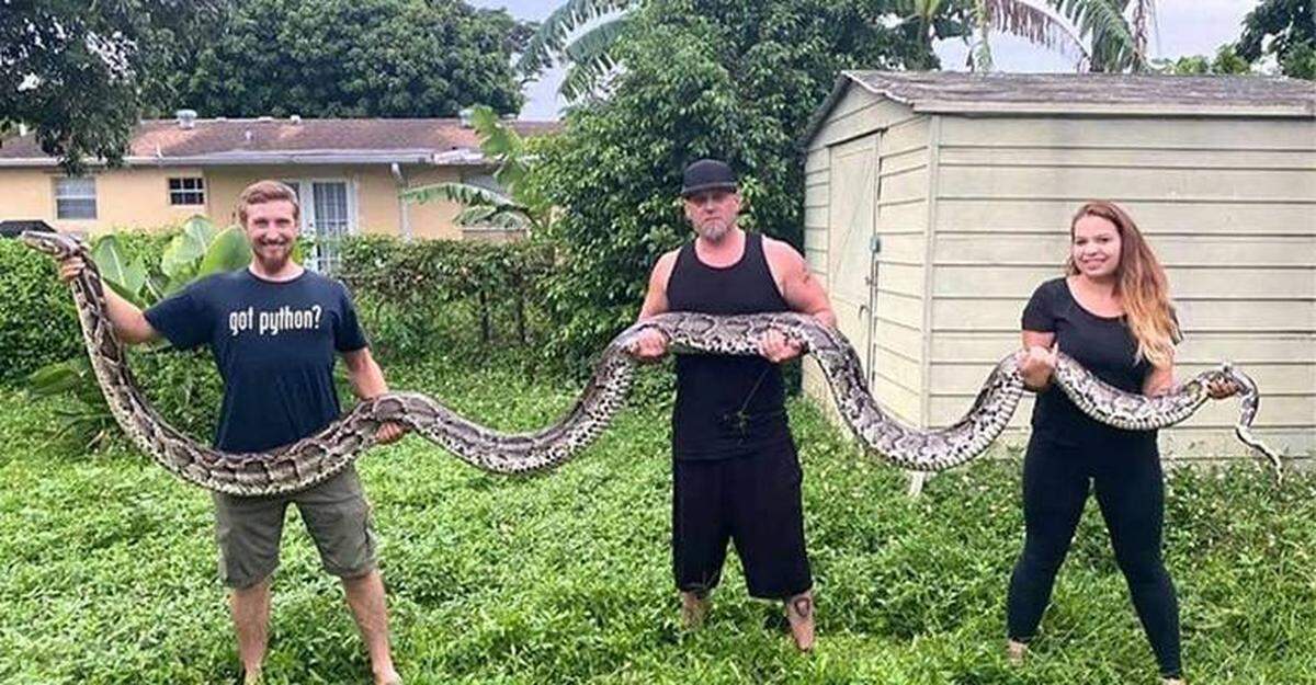 Meet your new neighbor, an 18-foot-long python.