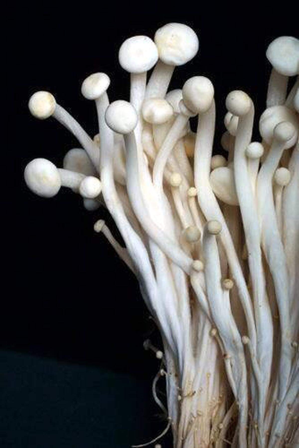 Enoki (e-NO-ke) mushrooms’ mild flavor and appearance work with many dishes, but its dainty form can’t withstand high or prolonged heat, according to this 2001 Washington Post file photo.