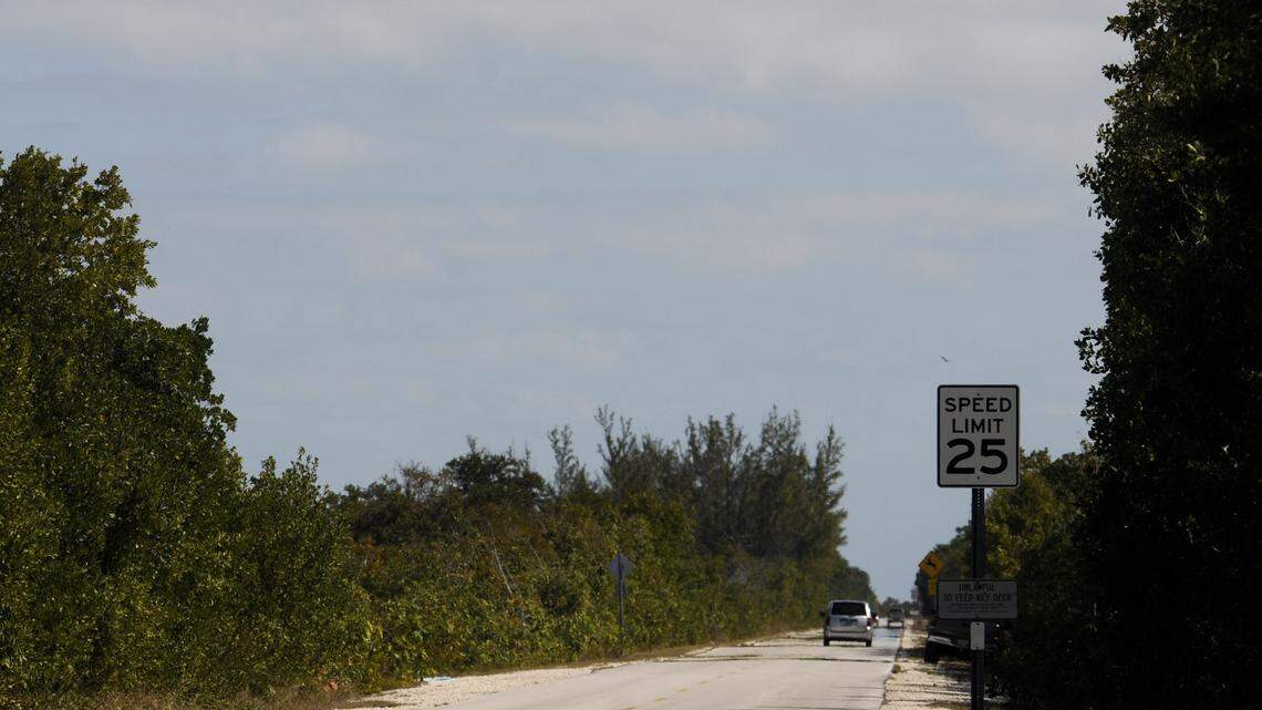 The main road on No Name Key. This is a file photo from January 28, 2010.