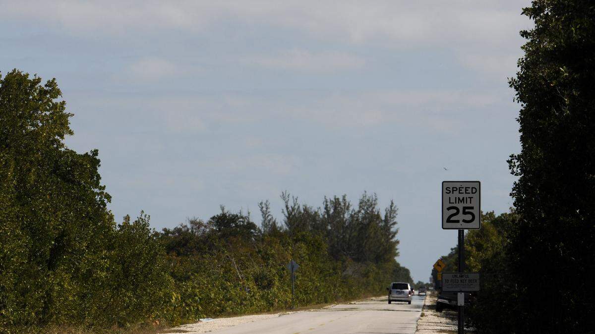The main road on No Name Key. This is a file photo from January 28, 2010.