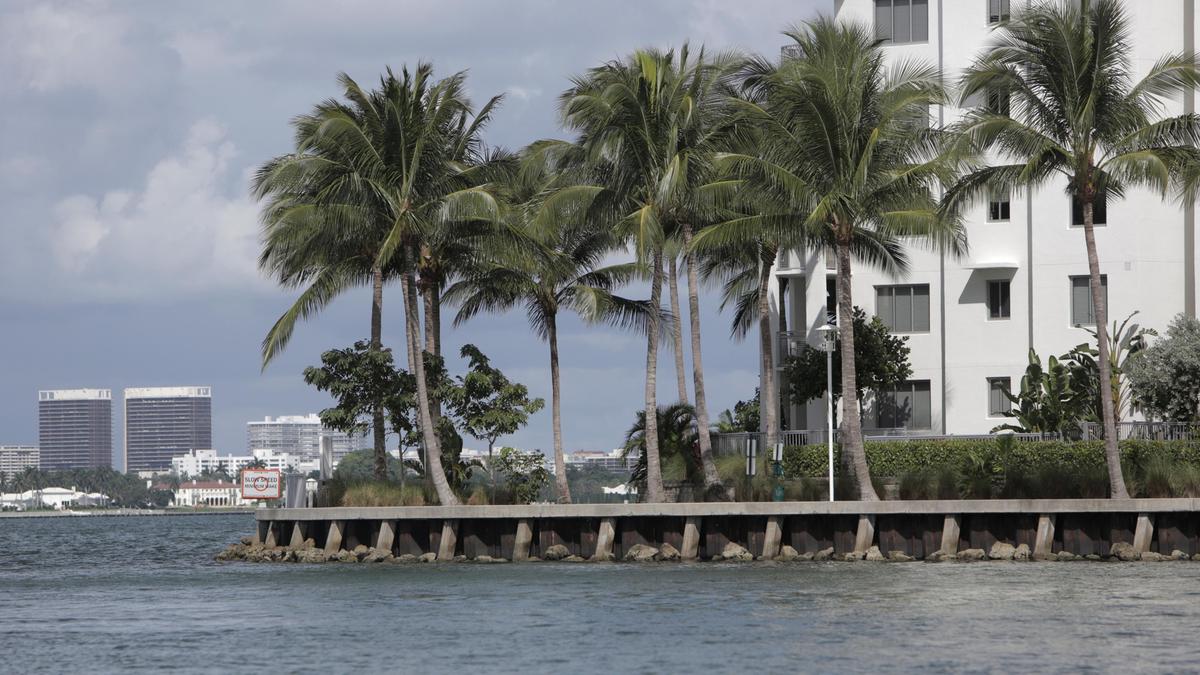 A recently built section of sea wall along the waterfront at Harbor Island in North Bay Village on Oct. 10, 2019.