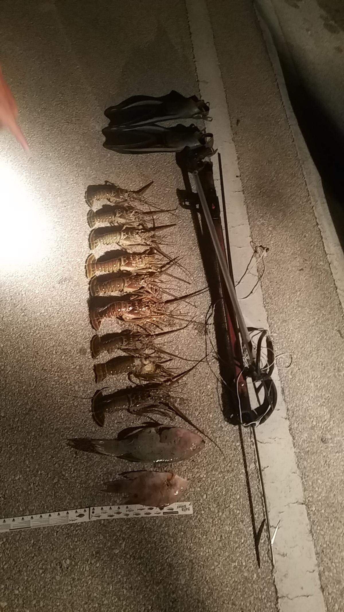 The poached sea life and the speargun allegedly used by Dennys Llopez to catch the fish and lobsters