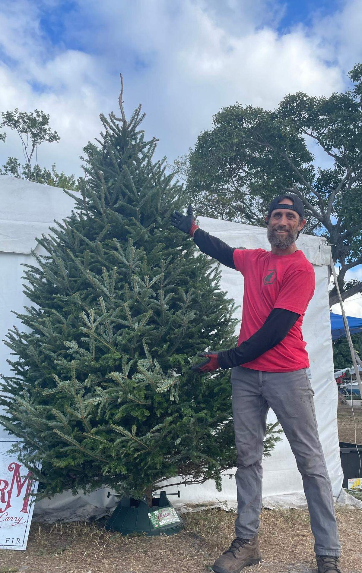 Triston Cole, manager of the Hayes Farms Christmas tree lot at the corner State Road 84 and Southwest Ninth Avenue in Fort Lauderdale, with one of the lot’s biggest Fraser firs.