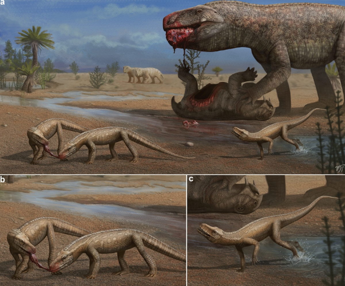 Some related species towered over the landscape, but the new species was small, just a few feet long.