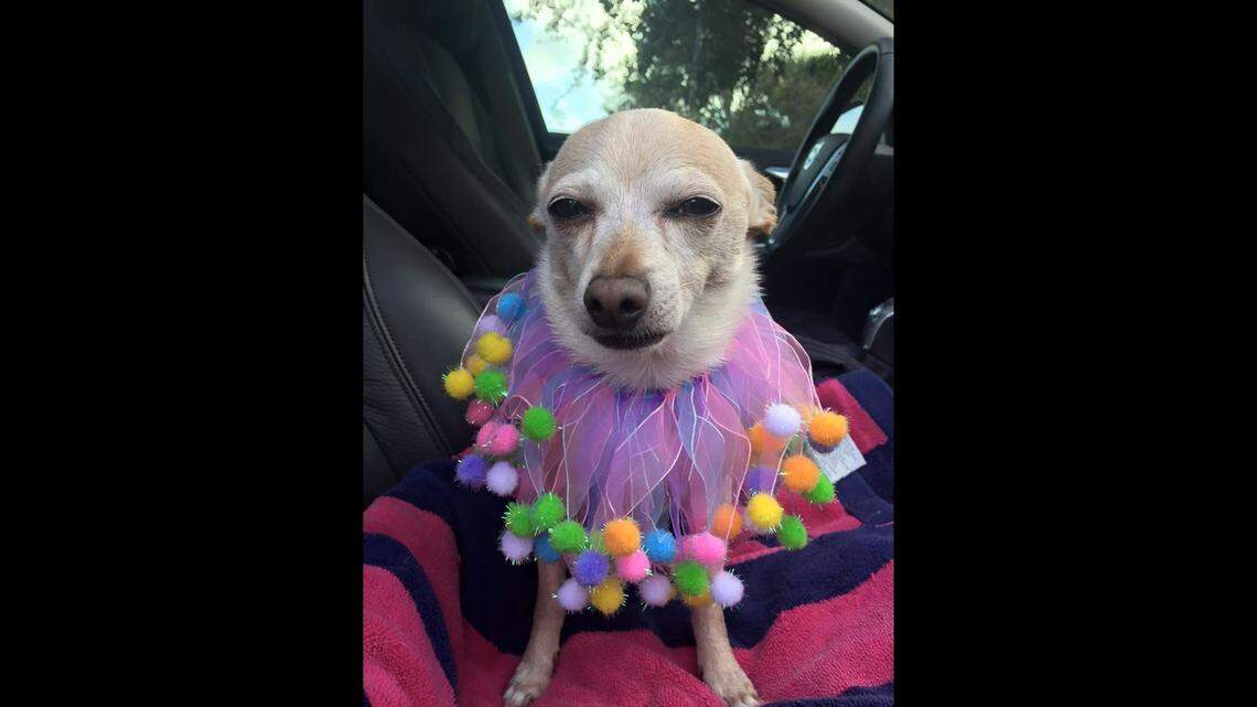 TobyKeith celebrated his most recent birthday Jan. 9, turning 21.