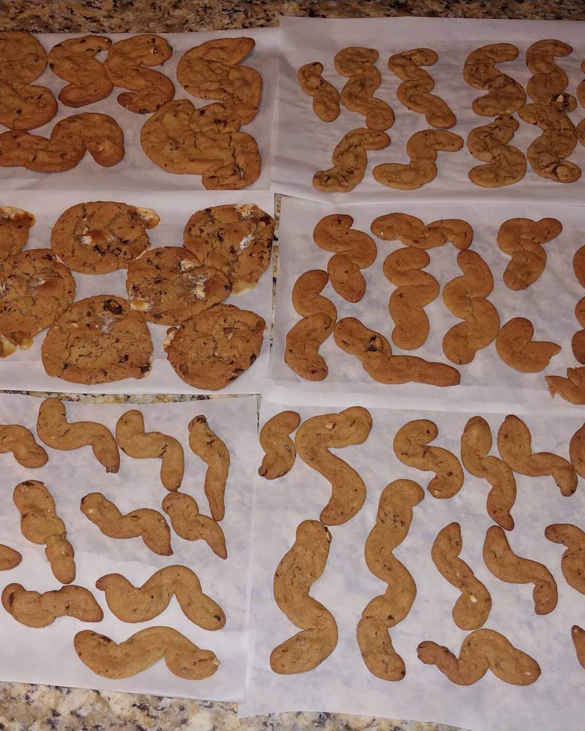 Cookies made with eggs from a female Burmese python that hunter Donna Kalil captured in the Everglades.
