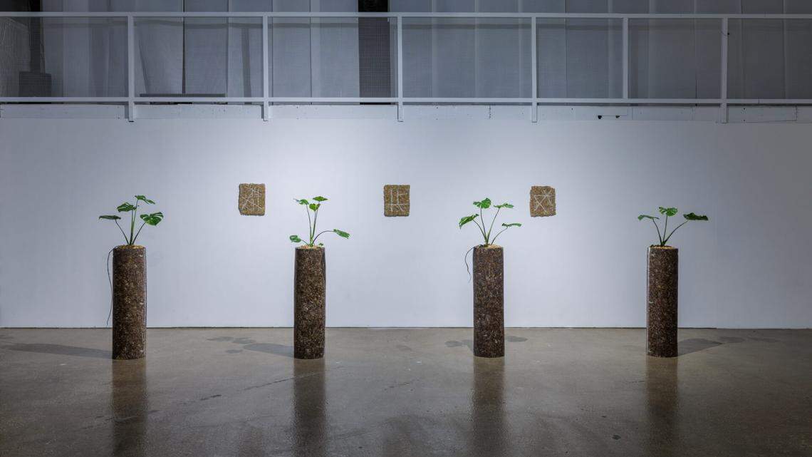 At Locust Projects, Ema Ri’s ‘This Too Shall Pass’ is a meditative journey