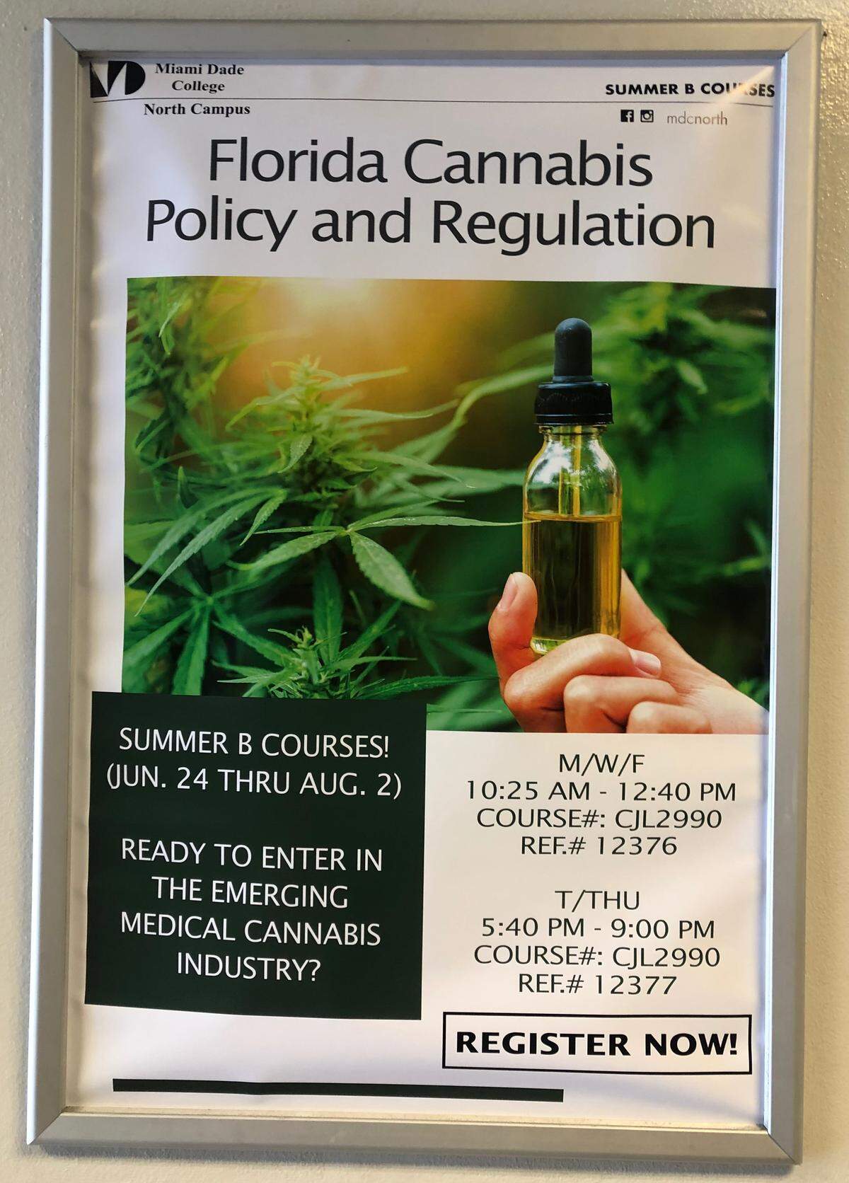 A poster about a Florida Cannabis Policy and Regulation course is displayed at Miami Dade College North Campus.