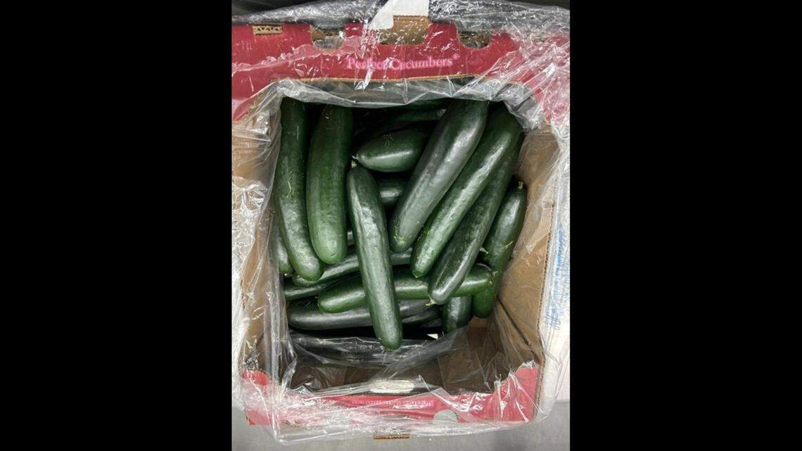 Cucumbers recalled in at least 26 states and Canada after links to salmonella ailments