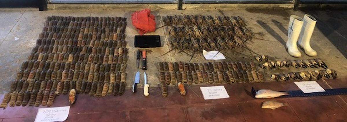 Marine patrol officers at Biscayne National Park seized 259 illegally poached spiny lobster and 22 out-of-season stone crab claws from the boat in August.