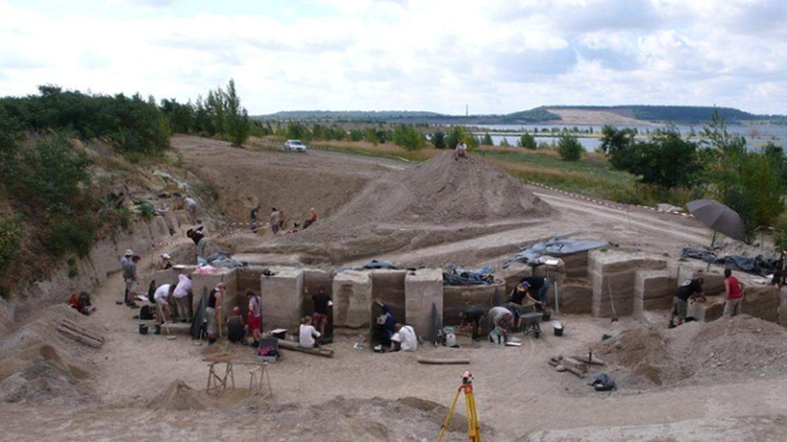 Thousands of bones showed evidence of being processed for their fat, researchers said.