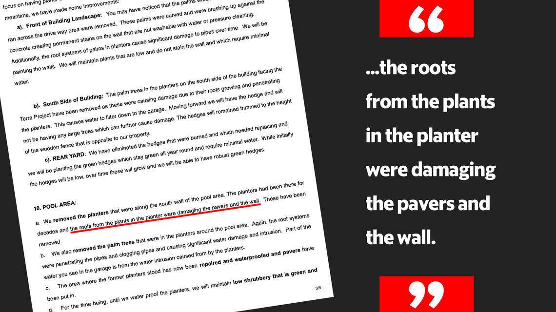A memo describes damage caused by palm trees whose roots escaped the confines of their planters.