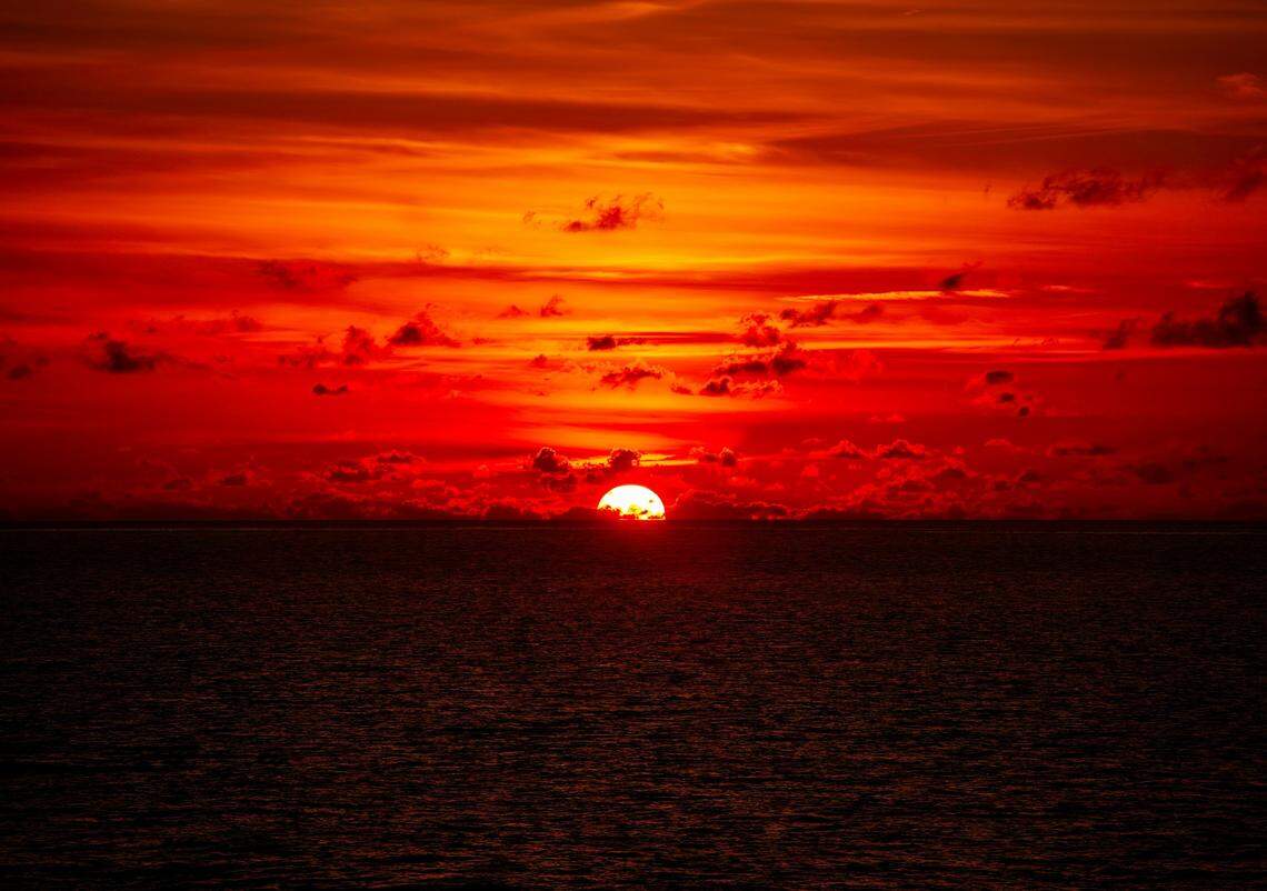 Deep below the surface of the South China Sea, an undiscovered species sat in the sediment for thousands of years before its discovery.