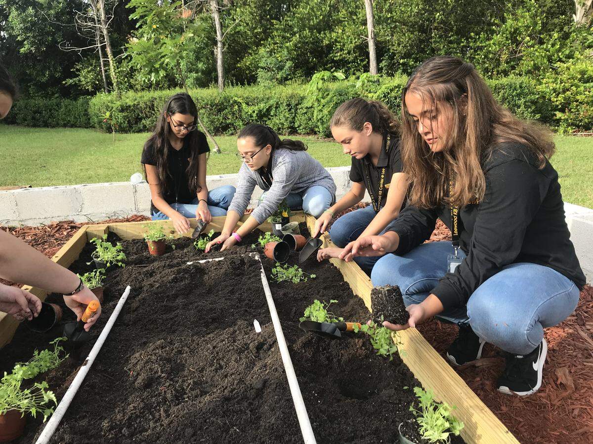 Students at Leewood K-8 Center in Kendall planted their first crops Oct. 9 in the new school garden. The young farmers also will learn how to harvest and cook the food they have grown themselves.