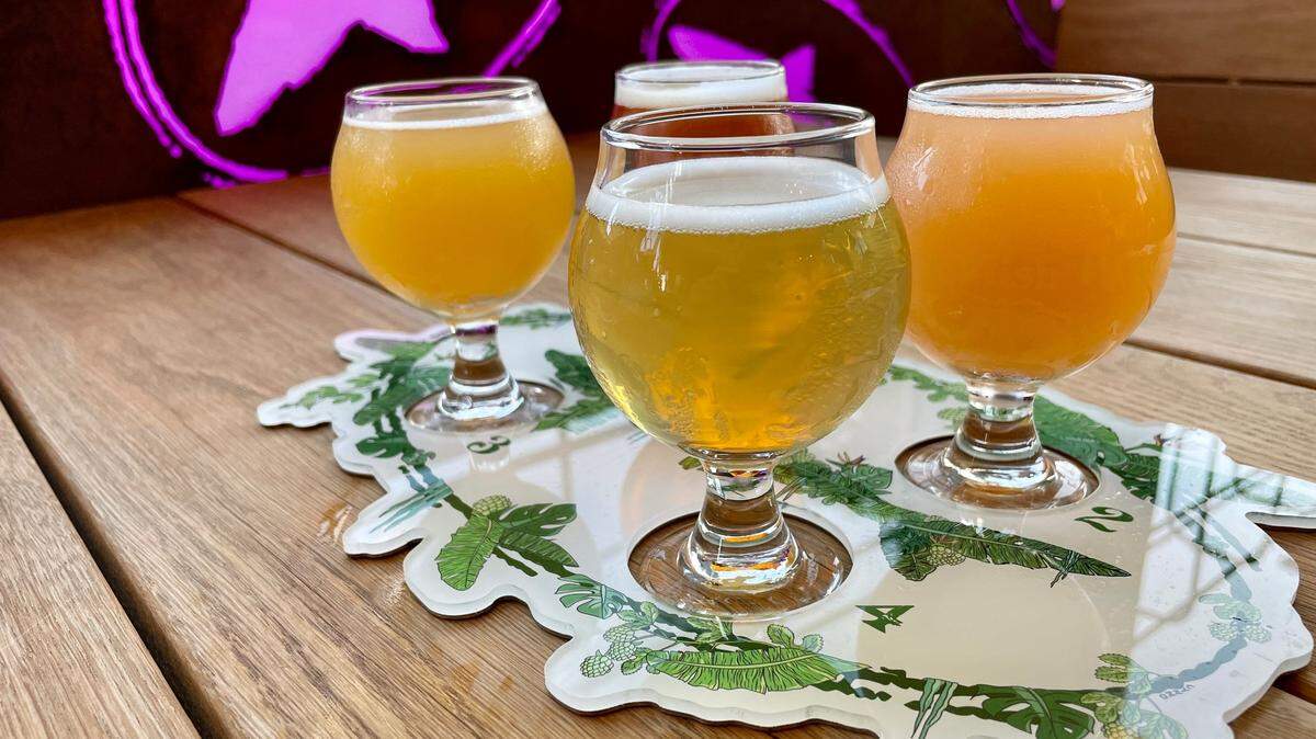 Una degustación en la cervecería Dogfish Head de Miami