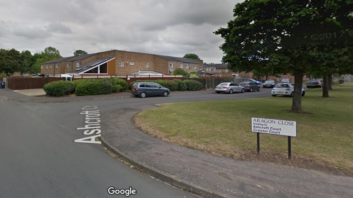 A dinosaur fossil was discovered alongside Roman era artifacts in a residential neighborhood in England, archaeologists said.