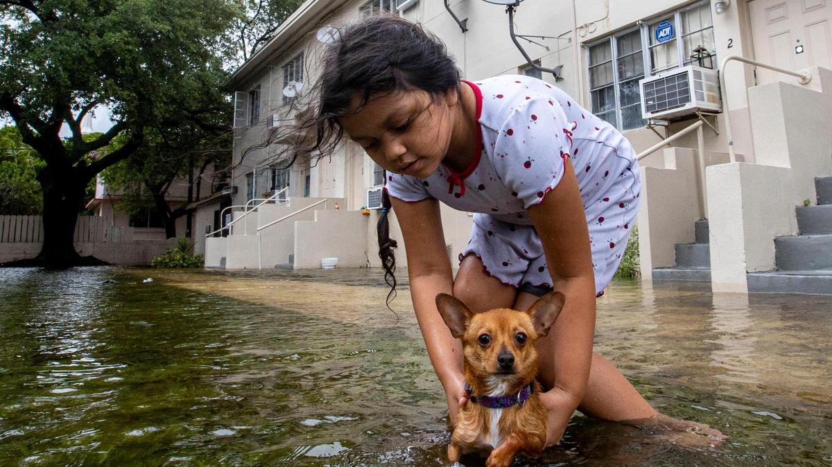 Mileidy Erazo, 6, holds her dog Canelo as he swims in floodwaters near her apartment off Southwest Third Street and Eighth Avenue in the Little Havana neighborhood of Miami, Florida, on Saturday, June 4, 2022.