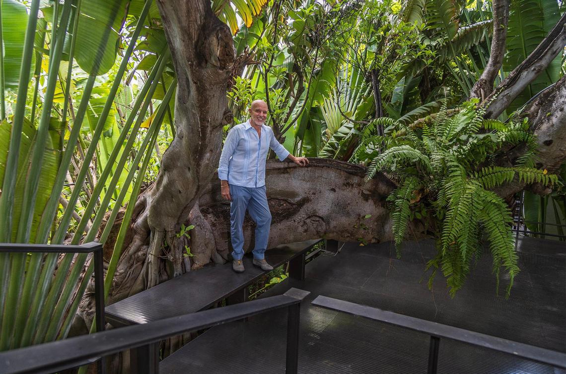 Miami architect René Gonzalez stands next to an old tree that he incorporated into the design of the Prairie House, a Miami Beach home that features shade trees and a green roof among its many cooling techniques.