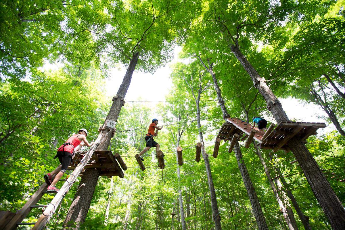 The new Jungle Island eco-adventure park features zip lines and other aerial obstacle courses.