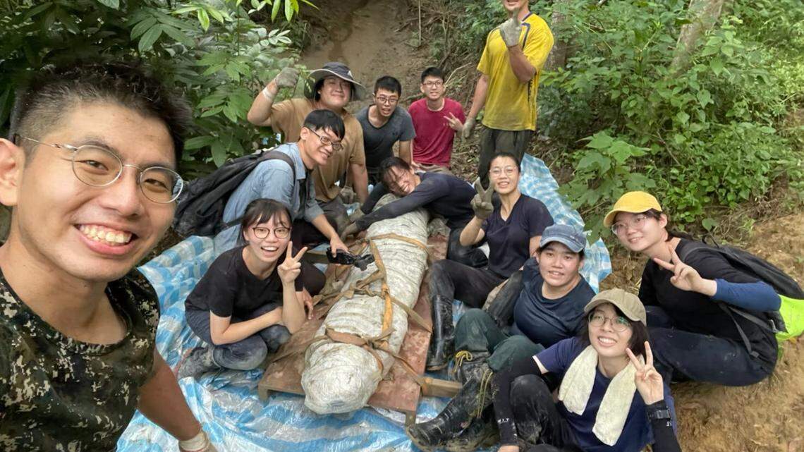 A university student team discovered a massive 85,000-year-old whale fossil, the first of its kind, in the forest of Hengchun, photos show.