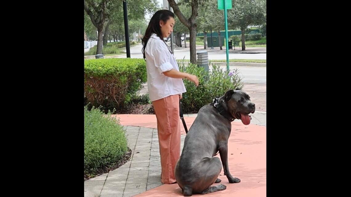 Miami doctors operated on the wrong side of Army soldier’s dog, lawsuit says