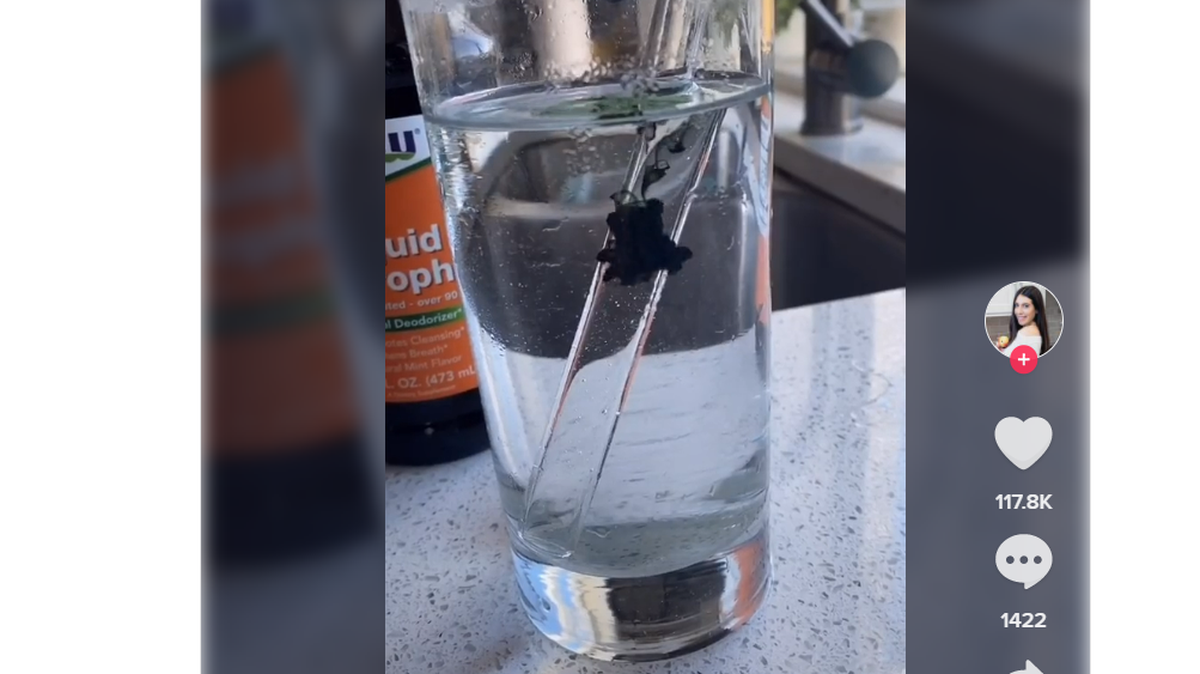 Screen shot of a TikTok video on the benefits of drinking chlorophyll water, which experts say lacks sufficient research.