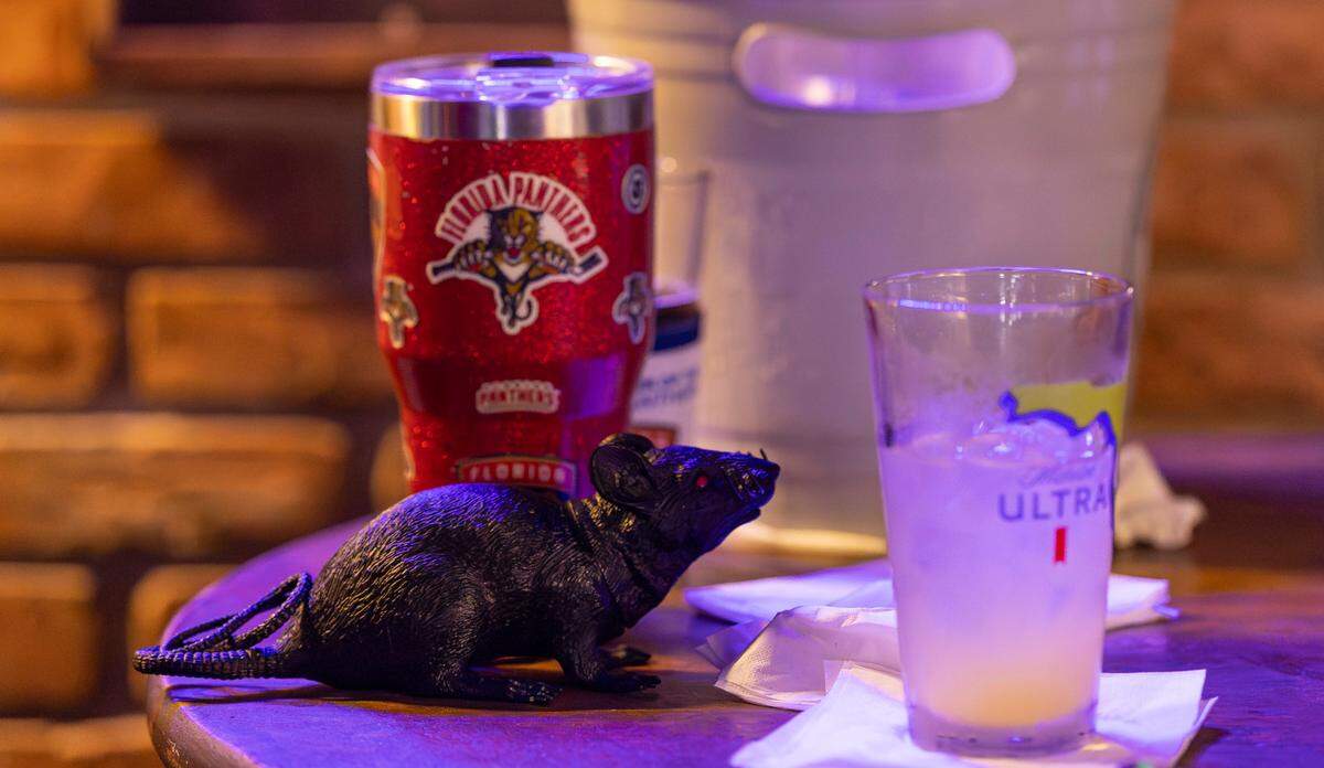 A plastic rat sits on a table during a watch party as the Florida Panthers play against the Edmonton Oilers in Game 2 of the NHL Stanley Cup Final at the Inn Field Bar & Grill on Friday, June 6, 2025, in Sunrise, Fla.