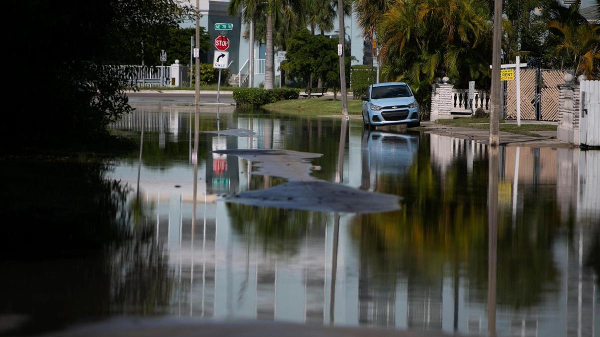 A lone car on a flooded Miami street in 2021. Flooded streets due to king tides could be much more common by mid-century as sea levels rise.
