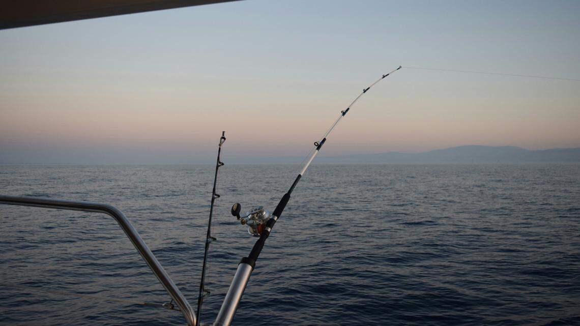 Anglers off the coast of Mexico reeled in an ocean predator in a first-of-its-kind catch.