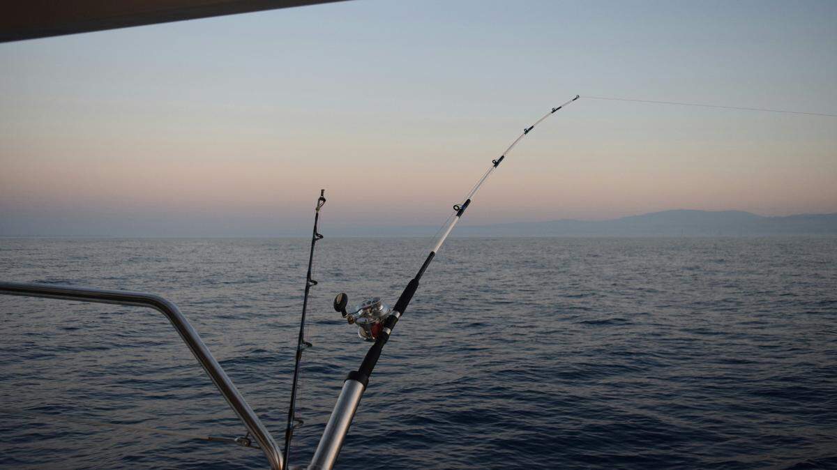 Anglers off the coast of Mexico reeled in an ocean predator in a first-of-its-kind catch.