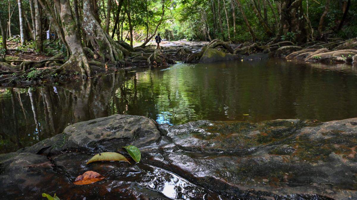 thailand pang sida national park