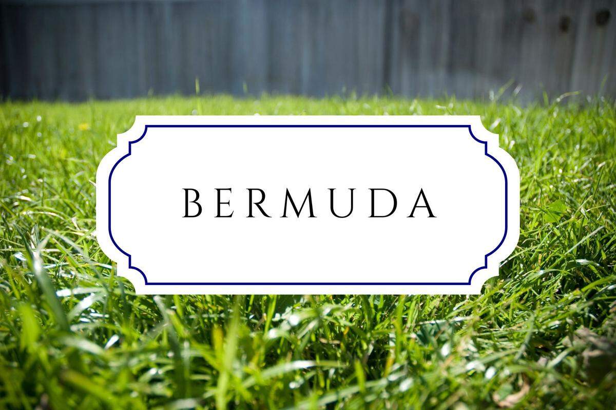 botanical baby names bermuda