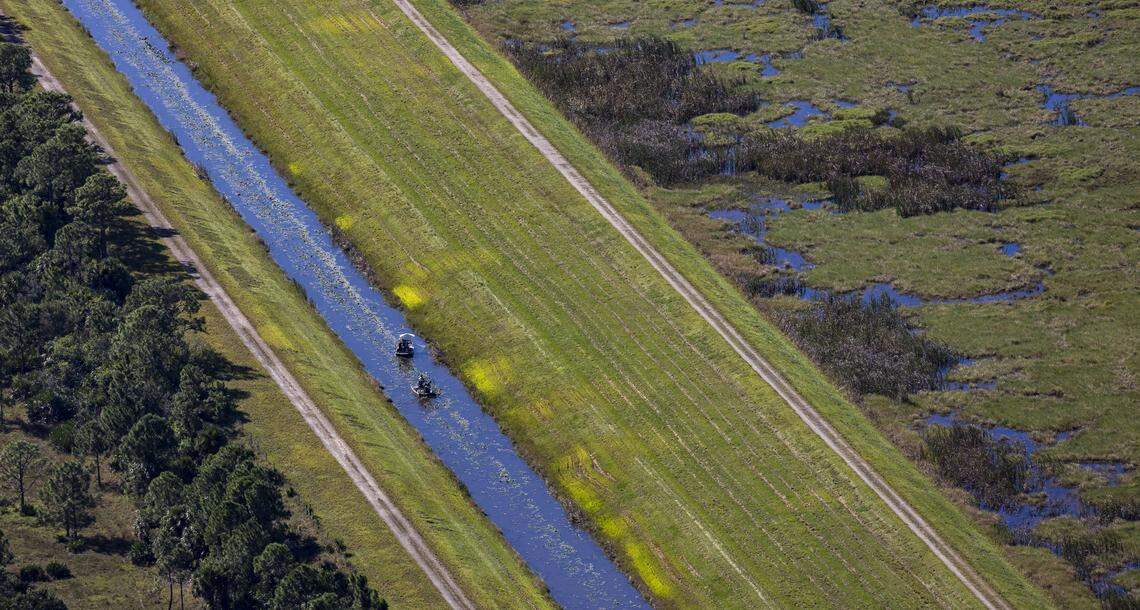 Two airboats traverse a canal in the Everglades.