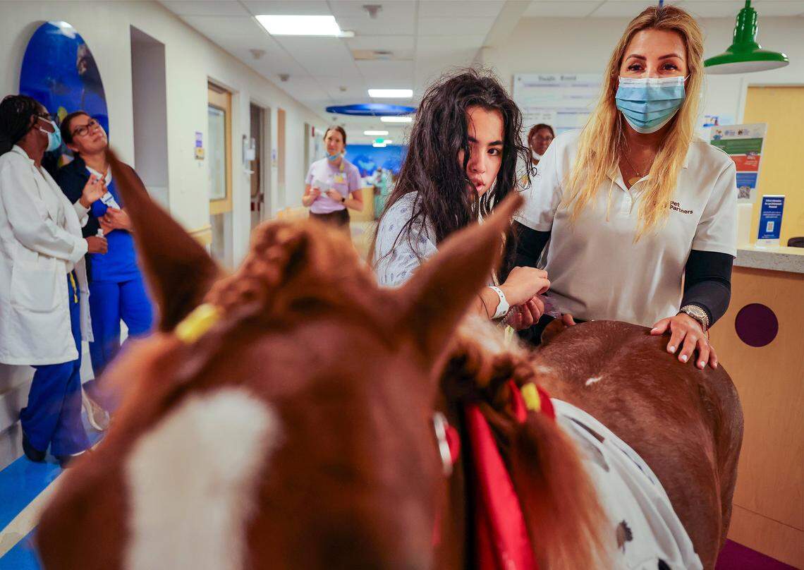 A young patient pets Pegasus as Alexandra Ramos conducts a therapy session at the Holtz Children’s Hospital at Jackson Memorial on Thursday, Aug. 15, 2025, in Miami. 