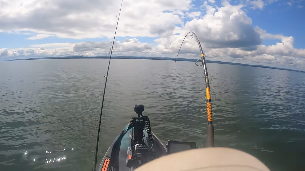 Un kayakista sorprendido que pescaba truchas en Nueva Escocia capturó un animal mucho mayor y más letal, muestra un video.