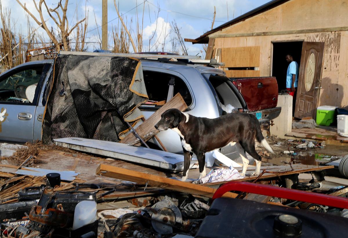 Residents of Sandbanks, a predominately Haitian shantytown in Treasure Cay, Bahamas said no one died. But everything was lost in Hurricane Dorian as it stalled for eight hours over the Abacos.