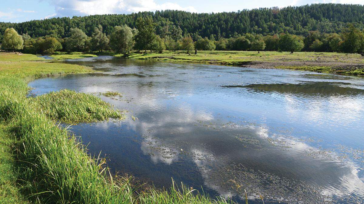 A new species of gudgeon was discovered in the Ural River of western Russia.