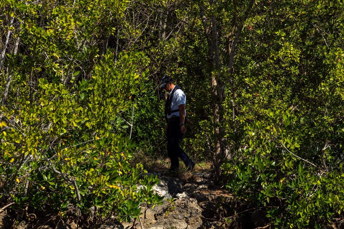 A Coral Gables Marine Patrol officer patrols R. Hardy Matheson Preserve off Snapper Creek Canal on Wednesday, Feb. 5, 2025, in Coral Gables, Fla.