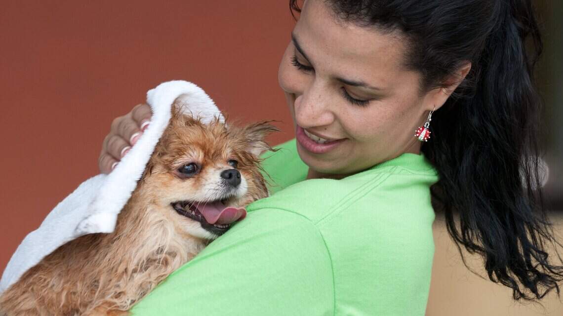 How often should you bathe your dog or cat?