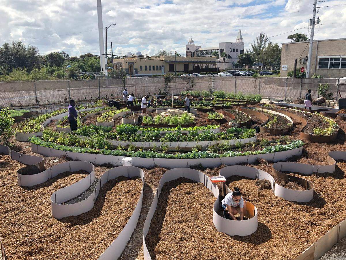Germane Barnes diseñó una granja urbana como parte de "Made in Opa-locka", un proyecto plurianual que revitalizó esa ciudad a través del arte y la arquitectura. Cortesía de Germane Barnes.